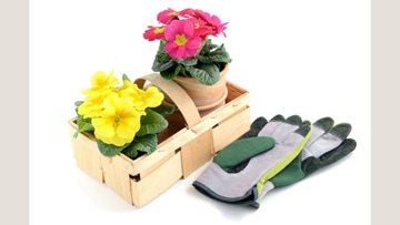 Laindon care home Residents enjoy gardening fun